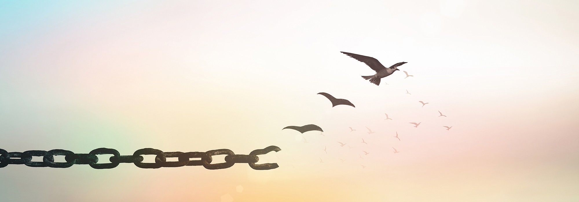 Care4Core slider homepage Care4Core slider homepage