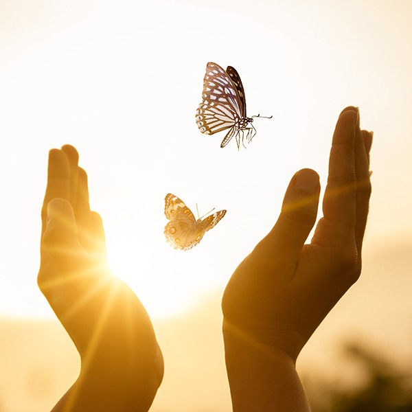 Reikitraining bij Care4Core Reikitraining bij Care4Core